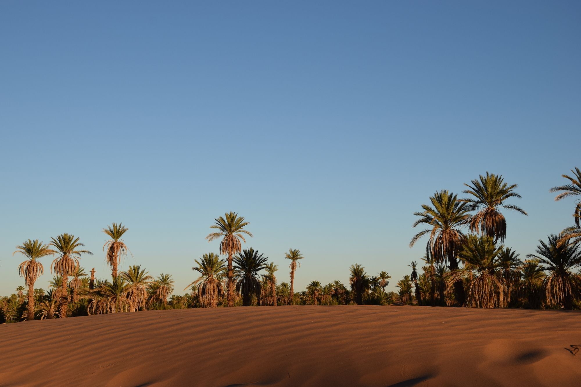 Hotel Carrefour Des Nomades Oulad Driss Exterior foto